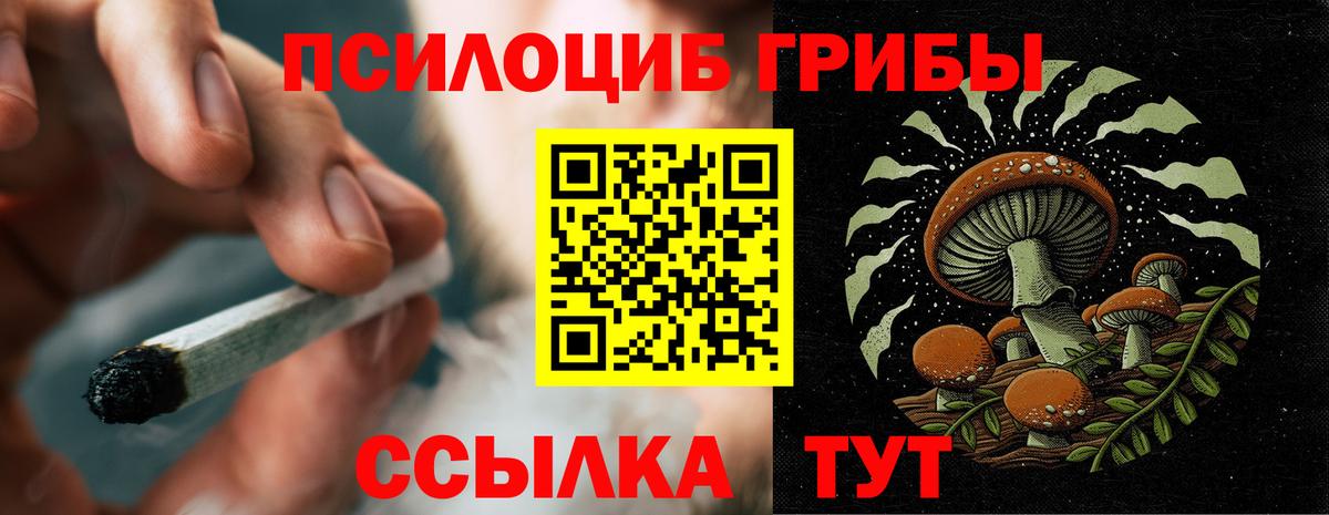 Галлюциногенные грибы мицелий  Псилоцибиновые грибы мухоморы  Железноводск  Вход с VPN 